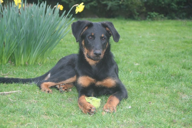 Des Vifs Embruns - Une belle journée beauceronne