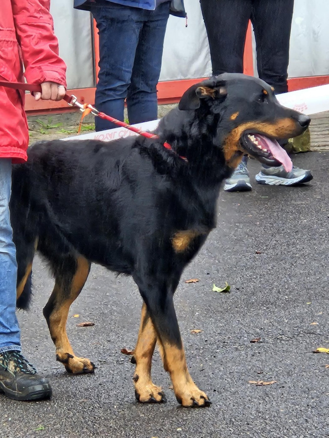 Ubac valide la cotation 2 à la journée beauceronne de Bretagne